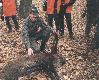 Dziczek strzelony na Polowaniu Hubertowskim (Vice-kr�l polowania).