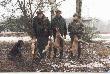 Lisy pozyskane na zbior�wce w dniu 11.12.2005r.