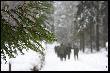 no co, �lisko by�o :)
