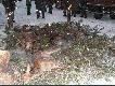 Pokot po polowaniu w K� Ostoja Opole. Strzelaj�c cielaka i lisa zosta�em kr�lem polowania