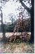 Urz�dzenia �owieckie.
