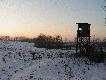 Ambonka stoi na skraju sporego kompleksu le�nego. Dalej ci�gn� si� pola i ��ki. Obok jest b�otko na kt�rym wiosn� l�duj� kaczuchy.