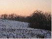 Te krzaczki po prawej stronie zdj�cia rosn� w�a�nie na skraju b�otka, jutro jego skrajem posznuruje pierwszy lisek . . . . .