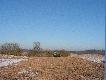 Przyjecha�em nast�pnego dnia przed po�udniem, Zielonego Jelenia zostawi�em, po sprawdzeniu wiatru, 1,5 km od ambony, reszt� drogi poszed�em na piechot�. Po drodze podchodzi�em liska na ugorze, podczo�ga�em si� na oko�o 120 metr�w, wtedy lisiura si� po�o�y� i tak sobie le�eli�my razem. Nie strzela�em bo nie mia�em dobrego kulochwytu. Potem on si� podni�s� i b�yskawicznie si� ewakuowa�, wyra�nie czym� zainteresowany. C� by�o robi�, ja te� sobie poszed�em. . . . . .