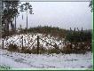 14.01.2006
Ach gdyby nie te p�oty stawiane w lesie...