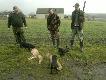 Go�cinne polowanie na stogach w k�. "Dudek".