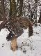 Mietk�w 15.01.2014