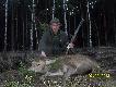 J.ciele ,waga 54kg..Podch�d trwa� 5 minut.Strza� z pastora�u 140m w kark..3 ciele w tym sezonie.DARZ B�R kemor21...
