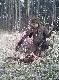 Dzisiejsze polowanie z Arco i 2 koguty.Darz B�r