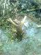 Tyle wystawa� z bagna 