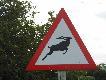 Teraz rysunki wsp�czesne, i to nie naskalne: Uwaga na lataj�ce kudu :-)