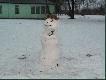 Dy�urny ba�wan polowania Noworoczna G�