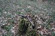 04.03.2014r. I taki zesz�oroczny �smak si� trafi� 