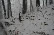 06.03.2014r. Kolejny �wie�y