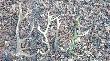 8.03.2014 �wie�y dwunastak,dwa stare dwunastaki i na koniec jeszcze stary dziesi�tak