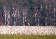 ... i pokaza�a lusterko :-)