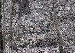 14-03-2014 poranny wypad przed praca i taki widok dojrza�em z roweru:) Pi�kny  14-stak  waga 2.30kg