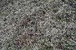 18.03.2014r. Taki widok mi si� dzisiaj trafi� :)