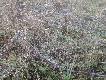 znalezione podczas jednego wyj�cia cholerni k�usole