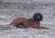 Utrwalanie od�o�enia.