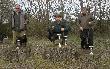 Grudzi�dz 13.04.2014. 
 - Rika Le�na Furia, Aisza z Kr�liczego Do�ka, Szeryf z G�bi�skiej Nory