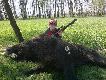 powiedzmy,�e dziczek jest Wiktora :)
