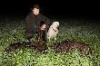 Nocny podch�d zako�czony 2 strzelonymi przelatkami . Pierwszy strzelony z watahy licz�cej 2 lochy i 6 przelatk�w, wali si� w ogniu. Po kolejnych 30 minutach nieopodal pokazuje sie 6 przelatk�w. Podch�d na 40 krok�w i kolejny wali si� w ogniu. Darz B�r