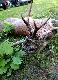 Wid�ak z mojego �owiska.