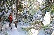 "Fotoreporterka" - Gra�yna.
(Fot. Jozef Starski)