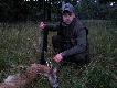 Darz B�r