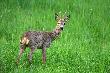 Wyp�och :-)
