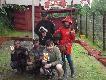 II �wi�tokrzyska Biesiada Norowc�w, Kun�w 12.07.2014:     

I miejsce - Rika Le�na Furia,
II miejsce - Doki Lisi Pokot,
III miejsce - Nemo z Kr�liczego Do�ka
oraz
IV miejsce Rani Le�na Furia,
V miejsce Rad�a Le�na Furia