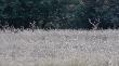 14.07.2014 ju� wytarty 