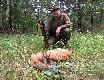 Rogacz, kt�rego strzeli� musia�am:-( 
Na �w. Anki bywaj� ciekawe poranki. Nie inaczej by�o i tym razem. O �wicie wybra�em si� w rejon rzadko odwiedzany przez koleg�w z my�l�  strzelenia ciekawego rogacza. Pogoda by�a pi�kna. Po wczorajszym deszczu nasta� ciep�y, lekko mglisty poranek. Podch�d rozpocz��em poln� drog� biegn�c� granic� lasu i p�l. �yta ju� zesz�y z p�l wi�c zapowiada�o si�, �e co�  �w. Hubert poka�e. W pewnym momencie na niewielkiej ��czce zauwa�y�em rogacza, kt�ry wyra�nie utyka�. Wygl�da� mizernie ale parostki nosi� jakby nie swoje. Gdy podszed�em na ok. 80 metr�w stwierdzi�em, �e rogacz ma z�aman� praw� przedni� cewk�, jest wychudzony i z trudem si� porusza. Decyzja mog�a by� tylko jedna. Efekt wida� na zdj�ciu. Waga tuszy w skupie 11 kg, wiek rogacza  pow. 6 lat. Po preparacji zamieszcz� zdj�cia trofeum. Darz B�r.