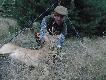 Kolejny rogacz w tym sezonie pozyskany z 8-eczki....strza� w szyjk�,waga 15 kg...Pozdrawiam..DB..Rajmund..