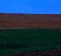 Rywale, 2 capy - jeden z tarcz�, drugi na tarczy. // Kr�tki opis �ow�w w galerii.