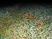 lis nr 12, 07-09-2014r.