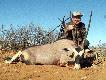 Oryx z�oty medal