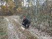 Lisek pozyskany go�cinnie w kole Darz B�r Miel�cin na polowaniu hubertowskim. 25.10.14