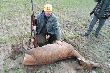 Wczoraj lis a dzisiaj, w drugiej ods�onie dwudniowego polowania Hubertowskiego w K� "Mi�o�nicy �owiectwa" w Warszawie, �w. Hubert wystawia mi �ani�, dzi�ki kt�rej zostaj� kr�lem polowania. Darz B�r! (zdj�cie zrobione przed ceremoni�, dlatego nie mam z�omu, a �ania ostatniego k�sa i piecz�ci)