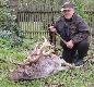 Kolega, kt�ry ze mn� polowa� r�wnie� strzeli� byka-pi�knego,ponad dwu kg selekta. 