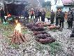 Pokot. 2 �anie, cielak, 7 dzik�w i lis. Darz b�r.