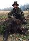 Odyniec pozyskany w dniu 9.11.2014 r. na polowaniu Hubertusowym w K.�. "Ponowa" Biskupiec. Waga 138 kg.W dniu 9.12.2014 r. komisja PZ� Olsztyn wyceni�a ore� na medal z�oty:)
