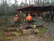 ��dz 15.12.2014 pono� od 8 lat najlepszy pokot:-)))
Du�e dziczki i fajne akcyjki  w tym z ody�cem popisowa. 