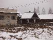 Dziki maj� wszystko w ....