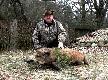 Tym czupurnym dziczkiem zako�czy�em 2014 rok.
Czas na  nowe otwarcie :-)
Darz B�r!!! 