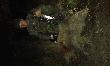 Nocny pobyt w �owisku