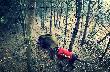 okiem podk�adacza. tu r�wnie� by�o cicho po chwili.