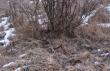 22-02-2015 Podnios�em pierwsz� tyk� w tym sezonie 14-stak 2.30 kg. Jak si� okaza�o do pary z praw� tyk� 14-staka podniesion� 21-02-2015 przez 'Pirate" zdj�cie pary wkr�tce:)