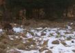 Po przej�ciu ok p� kilometra od podniesienia zrzut�w trafia si� kolejny 14-stak,okazuje si� �e do pary.